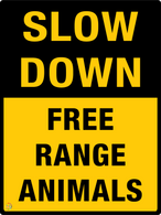 Slow Down - Free Range Animals Sign