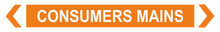 Load image into Gallery viewer, 2 Way Arrow Consumers Mains - Pipe Marker Labels