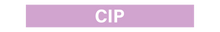 Load image into Gallery viewer, Cip - Pipe Marker