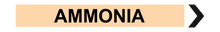 Load image into Gallery viewer, Ammonia - Pipe Marker