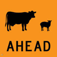 Cattle Ahead