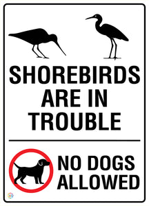 Shorebirds Are In Trouble No Dogs Allowed Sign
