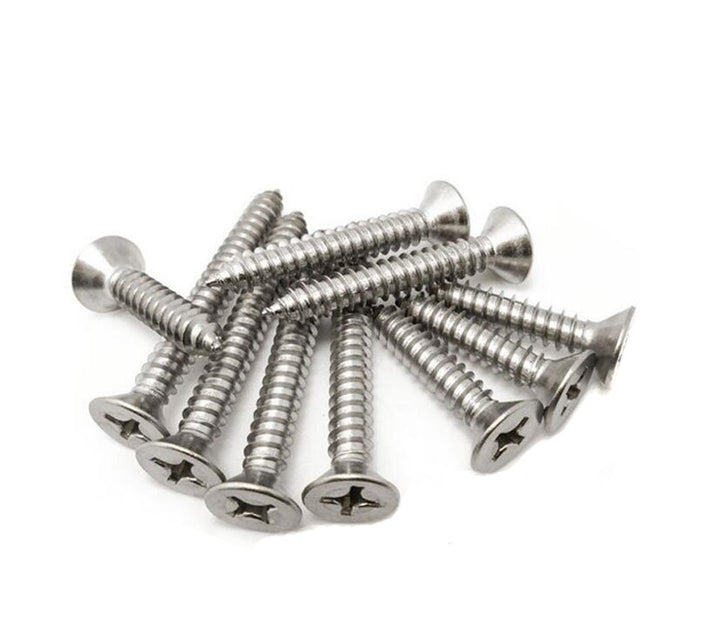 Stainless Steel Phillips Drive Pan Head Self-Tapping Screws