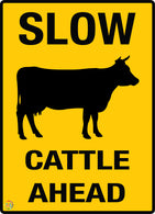 Slow Cattle Ahead