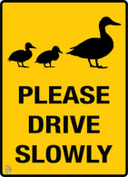 Please Drive Slowly Ducks