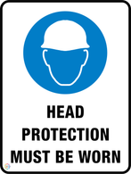Head Protection Must Be Worn