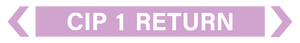 Cip 1 Return - Pipe Marker