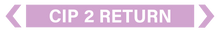 Load image into Gallery viewer, Cip 2 Return - Pipe Marker