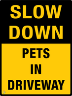 Slow Down Pets In Driveway