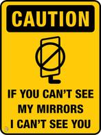 If You Can't See My Mirrors I Can't See You