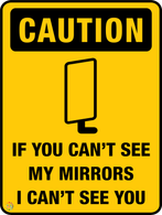 If You Can't See My Mirrors I Can't See You