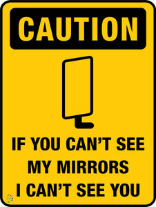 If You Can't See My Mirrors I Can't See You