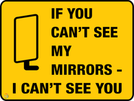 If You Can't See My Mirrors I Can't See You
