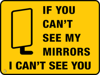 If You Can't See My Mirrors I Can't See You