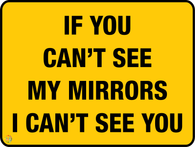 If You Can't See My Mirrors I Can't See You